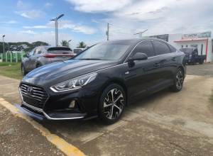 Hyundai Sonata New Rise