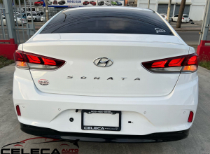 Hyundai Sonata New Rise