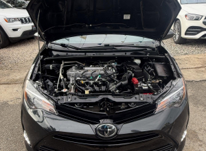 Toyota Corolla LE Plus