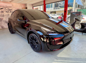 Tesla Model Y Dual Motor