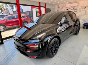 Tesla Model Y Dual Motor