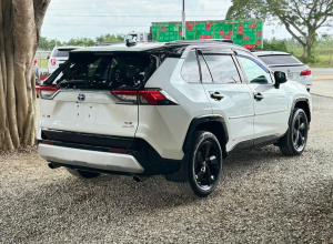 Toyota RAV4 Hybrid