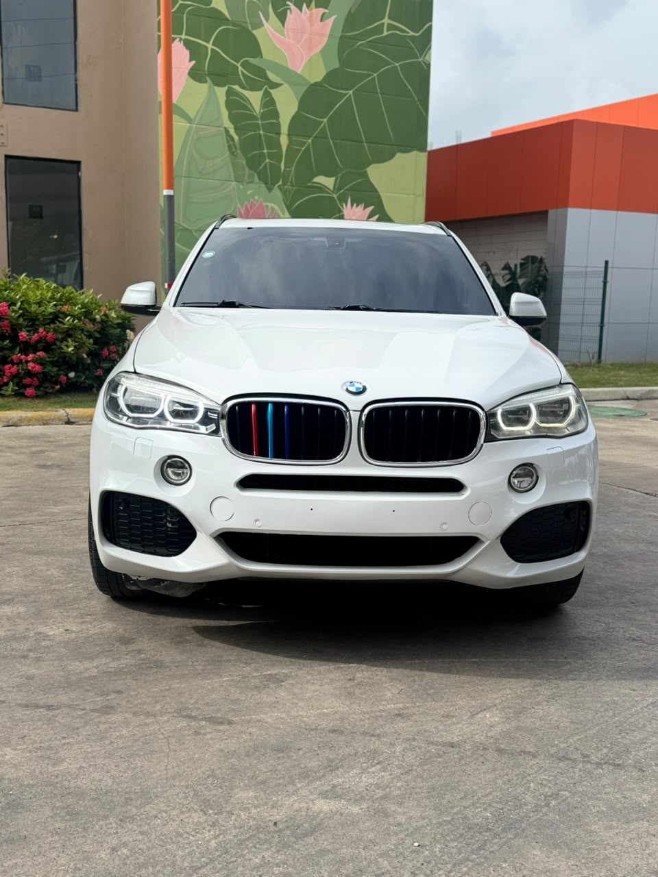 BMW Serie X X5